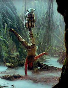 Yoda Balancing On A Guy GIF