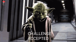 Yoda Challenge Accepted GIF