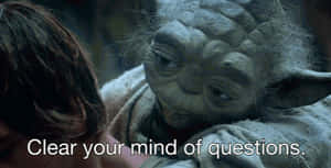 Yoda Clearing Mind From Questions GIF