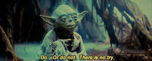 Yoda Famous Motto GIF