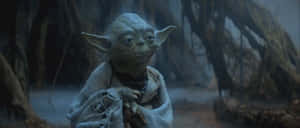 Yoda In Murky Forest GIF