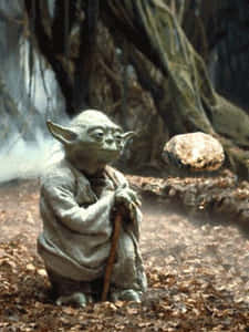 Yoda In The Forest GIF