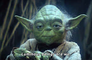 Yoda Luminous Beings Are We GIF