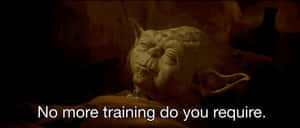 Yoda No More Training GIF