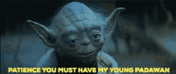 Yoda Patience You Must Have GIF