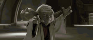 Yoda Posing For A Fight GIF