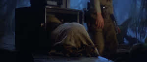 Yoda Rummaging Vault GIF