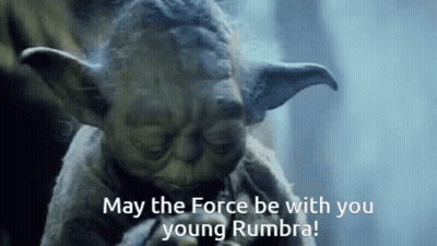 Yoda Saying May The Force Be With You GIF