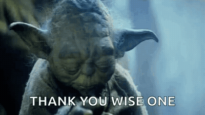 Yoda Statue Thank You Wise One GIF