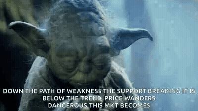 Yoda Talking About Weakness And Support GIF