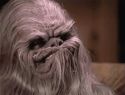Yoda Talking About Weakness And Support GIF