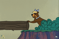Yogi Bear Falling GIF