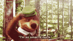 Yogi Bear I'm So Smart GIF