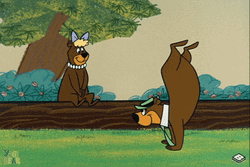 Yogi Bear Upside Down GIF