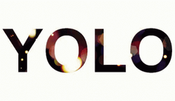 Yolo Shaking Text Animation GIF