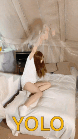 Yolo Woman Raising Teddy Bear GIF