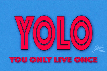 Yolo You Only Live Once Disperse GIF