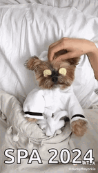 Yorkie Puppy Eyes Spa GIF