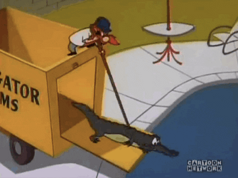Yosemite Sam Putting Alligator In Pool GIF