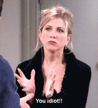 You Are An Idiot Friends Rachel GIF