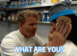 You Are An Idiot Sandwich GIF