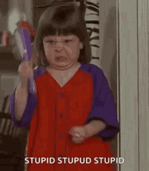 You Are An Idiot Stupid Kid GIF