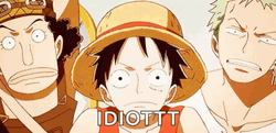 You Are An Idiot Zoro Luffy Usopp GIF