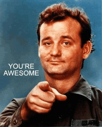 You Are Awesome Bill Murray GIF