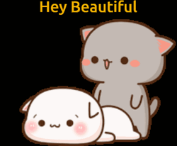 You Are Beautiful Mochi Mochi Cats GIF