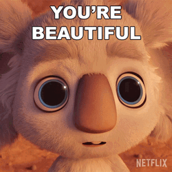You Are Beautiful Pretty Boy Koala GIF