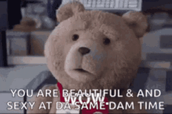 You Are Beautiful Talking Ted GIF