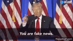 You Are Fake News Trump GIF