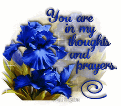 You Are In My Thoughts And Prayers Sparkling Blue Flower GIF