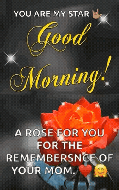 You Are My Star Good Morning Rose GIF