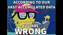 You Are Wrong SpongeBob SquarePants GIF