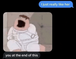 You At The End Of This I Just Really Like Her Meme GIF