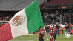 You Boys Like Mexico Big Flag GIF