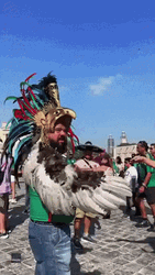 You Boys Like Mexico Bird Costume GIF