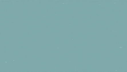 You Boys Like Mexico Coast Of Mexico GIF