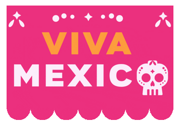 You Boys Like Mexico Colorful Viva Mexico GIF