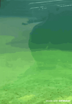 You Busy Are You Busy GIF