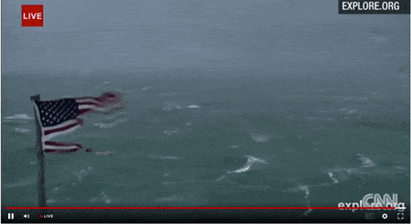 You Call This A Signal Number One Storm GIF