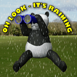 You Call This A Storm It's Just Rain GIF