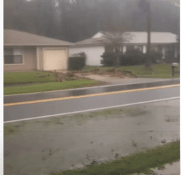 You Call This A Storm Man GIF