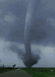 You Call This A Storm That's Hurricane GIF