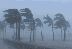 You Call This A Violent Storm GIF