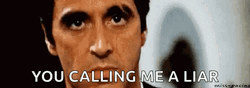 You Calling Me A Liar Frank GIF