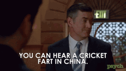 You Can Hear Crickets Meme Frat In China GIF