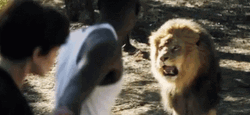 You Can't Cross Lion Roar GIF