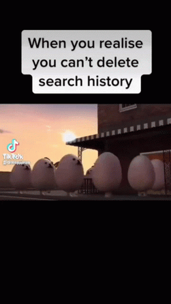 You Can't Delete Search History GIF